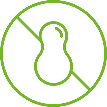 Nuts Free Icon Nuts Free Icon